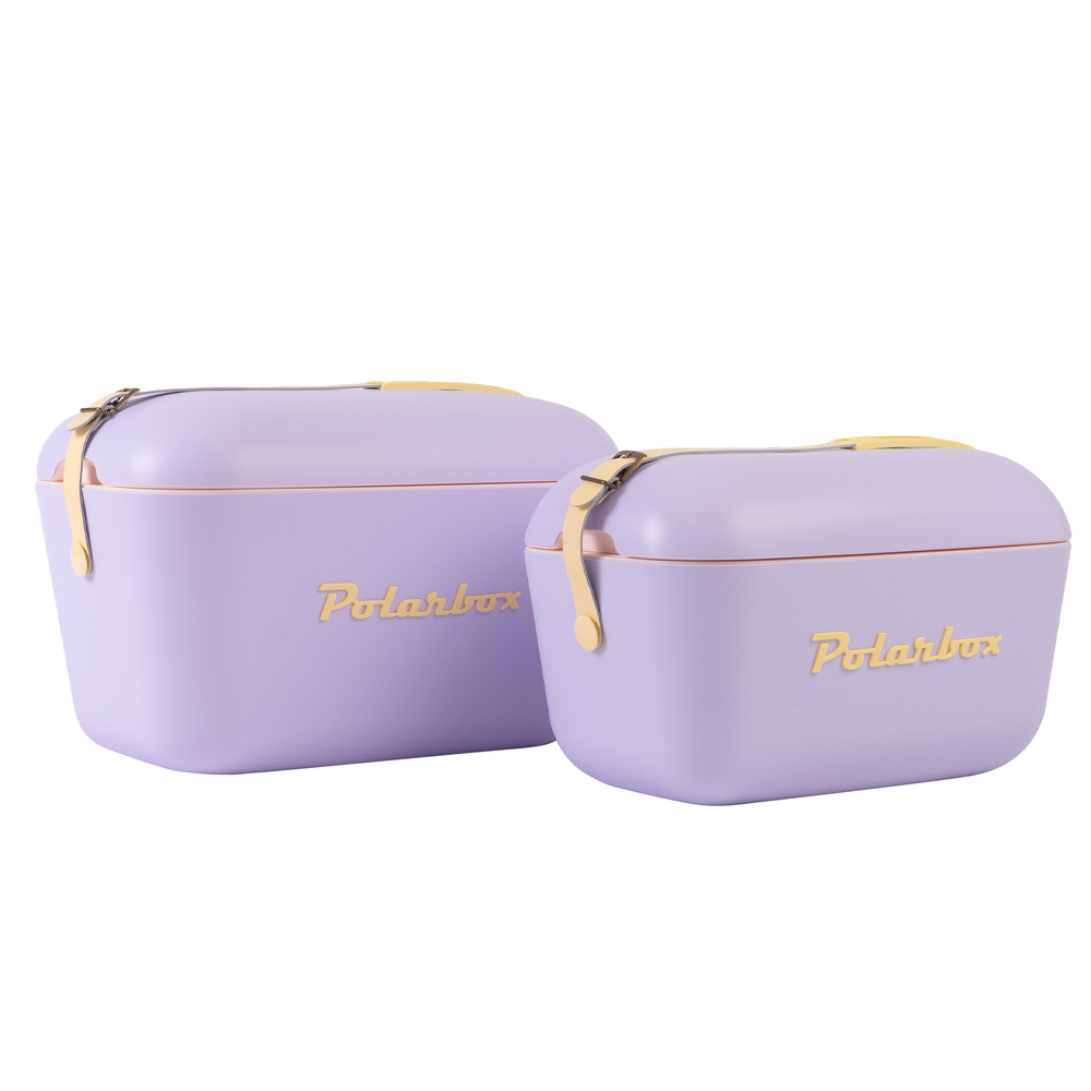 weduwnaar versneller pleegouders Trendy en lichtgewicht koelbox in mooie paarse kleur met gele band